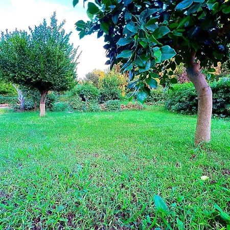 Apartmán Rosemary Marsala