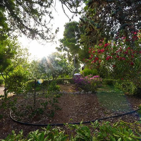 Prázdninový dům Rosemary