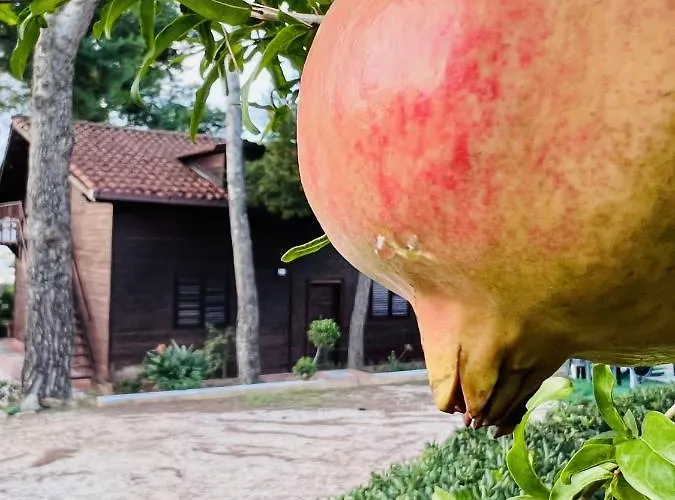 Rosemary Prázdninový dům